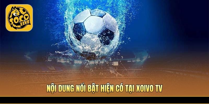 Nhiều chuyên mục bóng đá hấp dẫn dành cho người hâm mộ