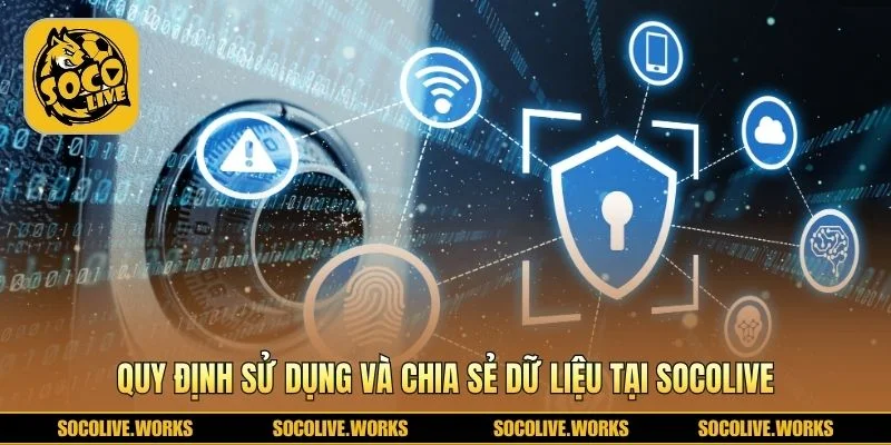 Quy trình quản lý thông tin minh bạch và đúng chuẩn 