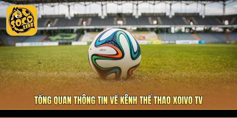 Xoivo TV cập nhật bóng đá nhanh và ổn định mỗi ngày